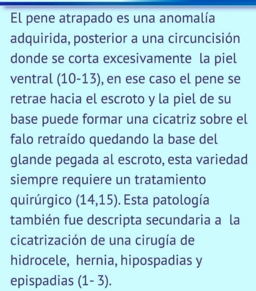 andres olivo garate andres olivo garate