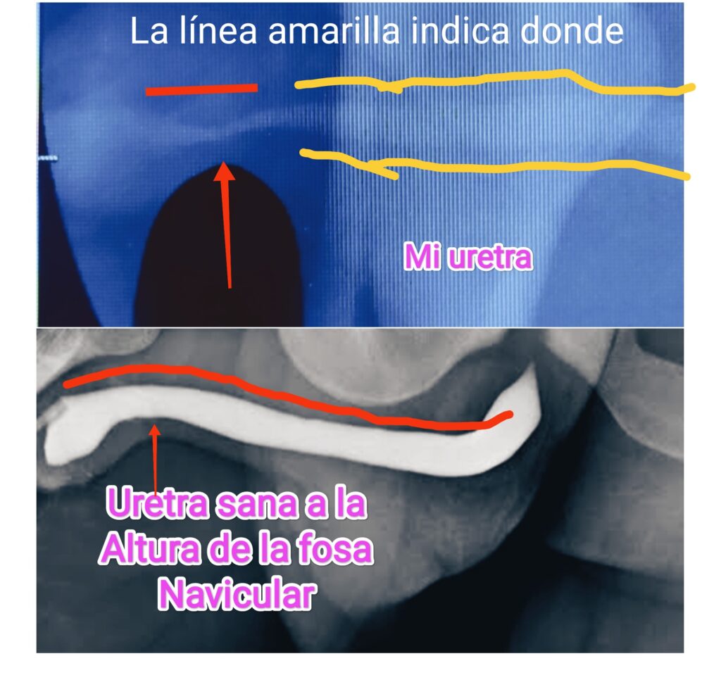 andres olivo garate jose andres olivo garate