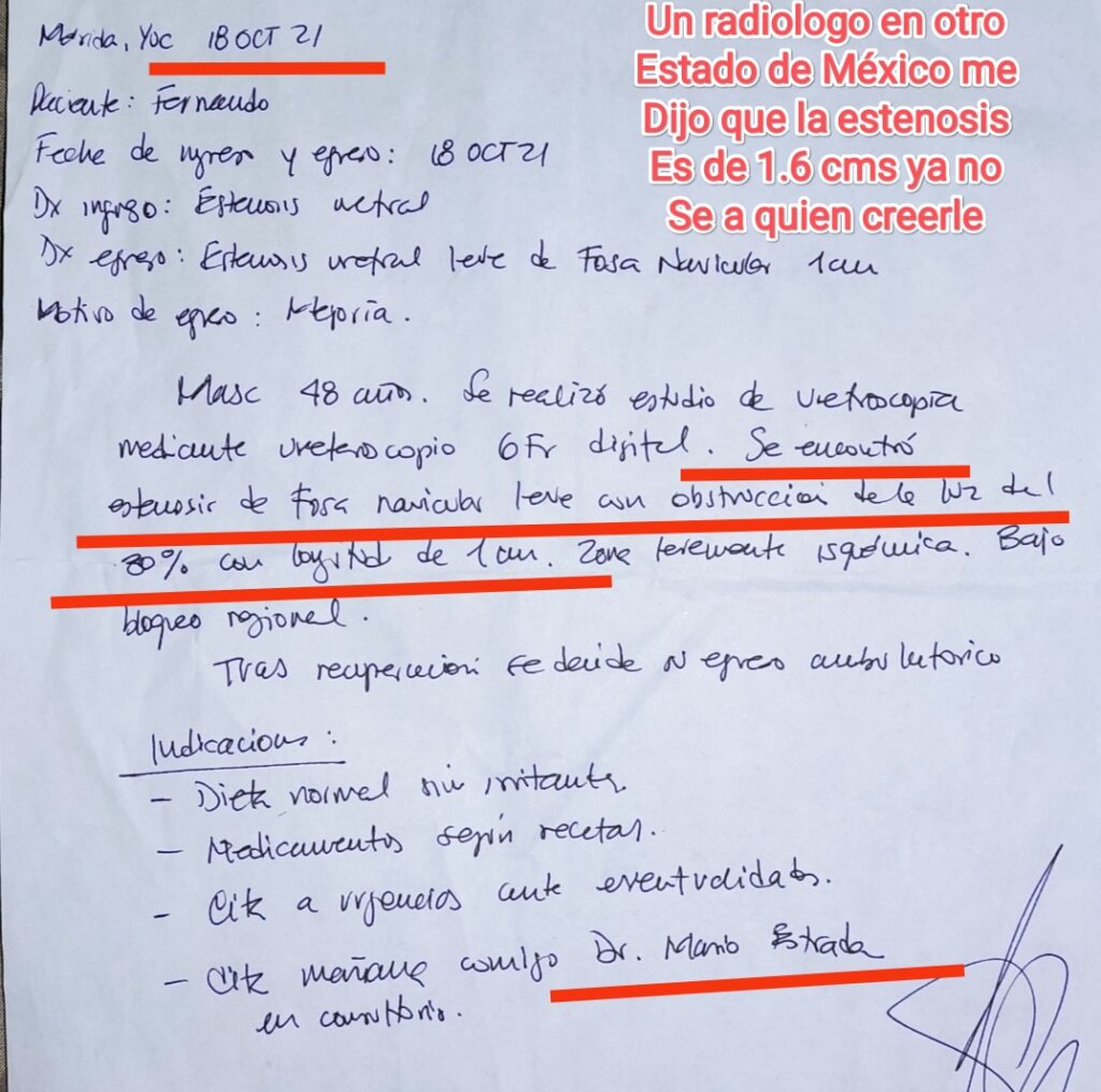 andres olivo garate andres olivo garate