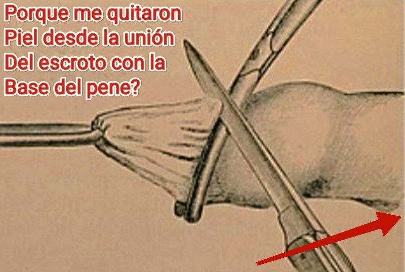 andres olivo garate andres olivo garate