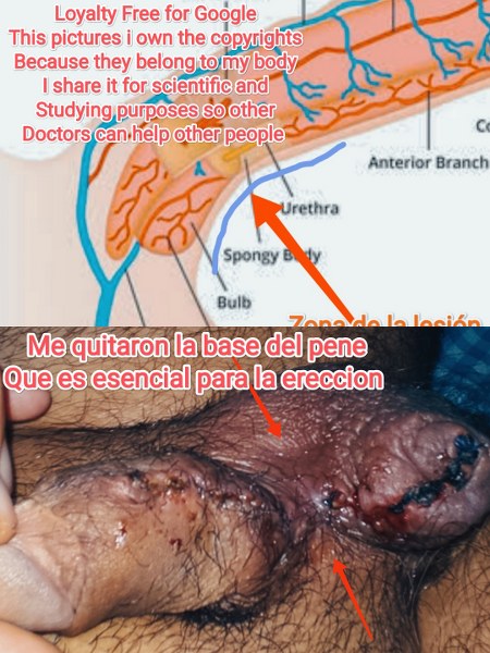 jose andres olivo garate